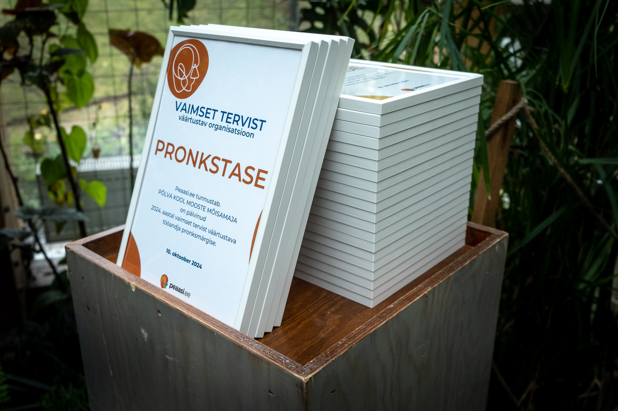 Vaimset tervist väärtustava organisatsiooni märgis