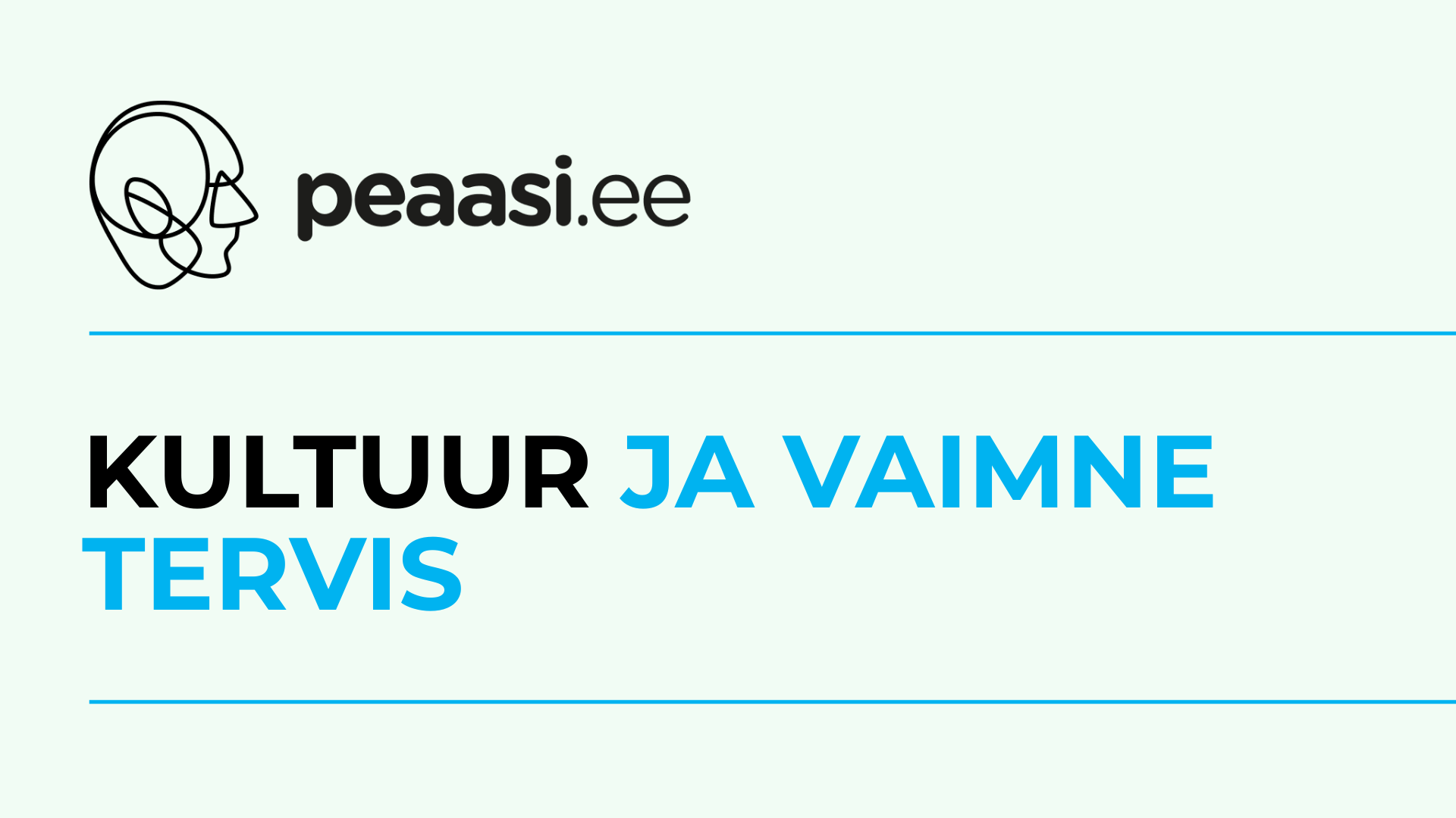 VT ja kultuur